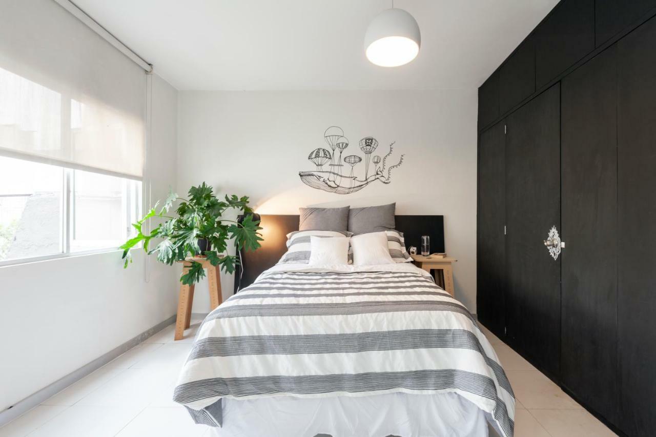 Apartament Casa Amores Meksyk Zewnętrze zdjęcie